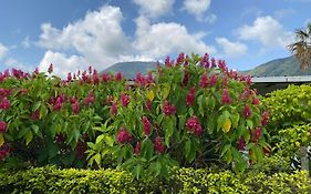 Finca Hotel Villaruth